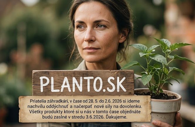 Dovolenka