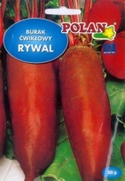 Cvikla-červená repa Rywal