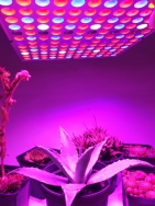 LED GROW panel pre všetky rastliny - 45 W