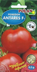 Paradajka Antares F1 Antioxidant