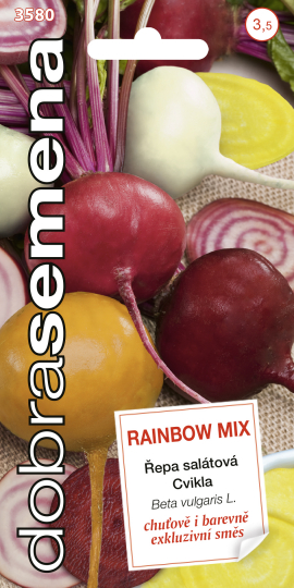 Cvikla šalátová Rainbow Mix - 60 ks - DS