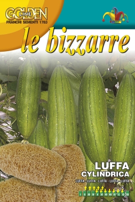 Luffa – Franchi – 2 g