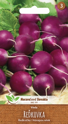 Reďkovka - Viola fialová -  MS - 2 g