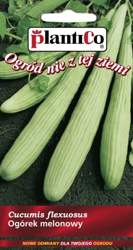 Uhorka melónová Fegouz - 3 g - PLANTICO