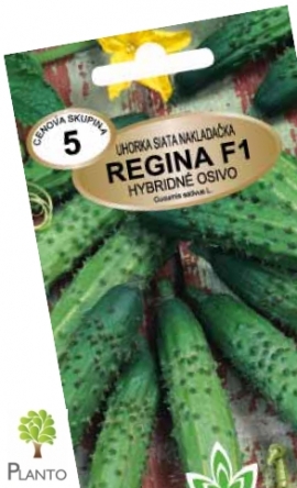 Uhorka nakladačka REGINA F1 – MS